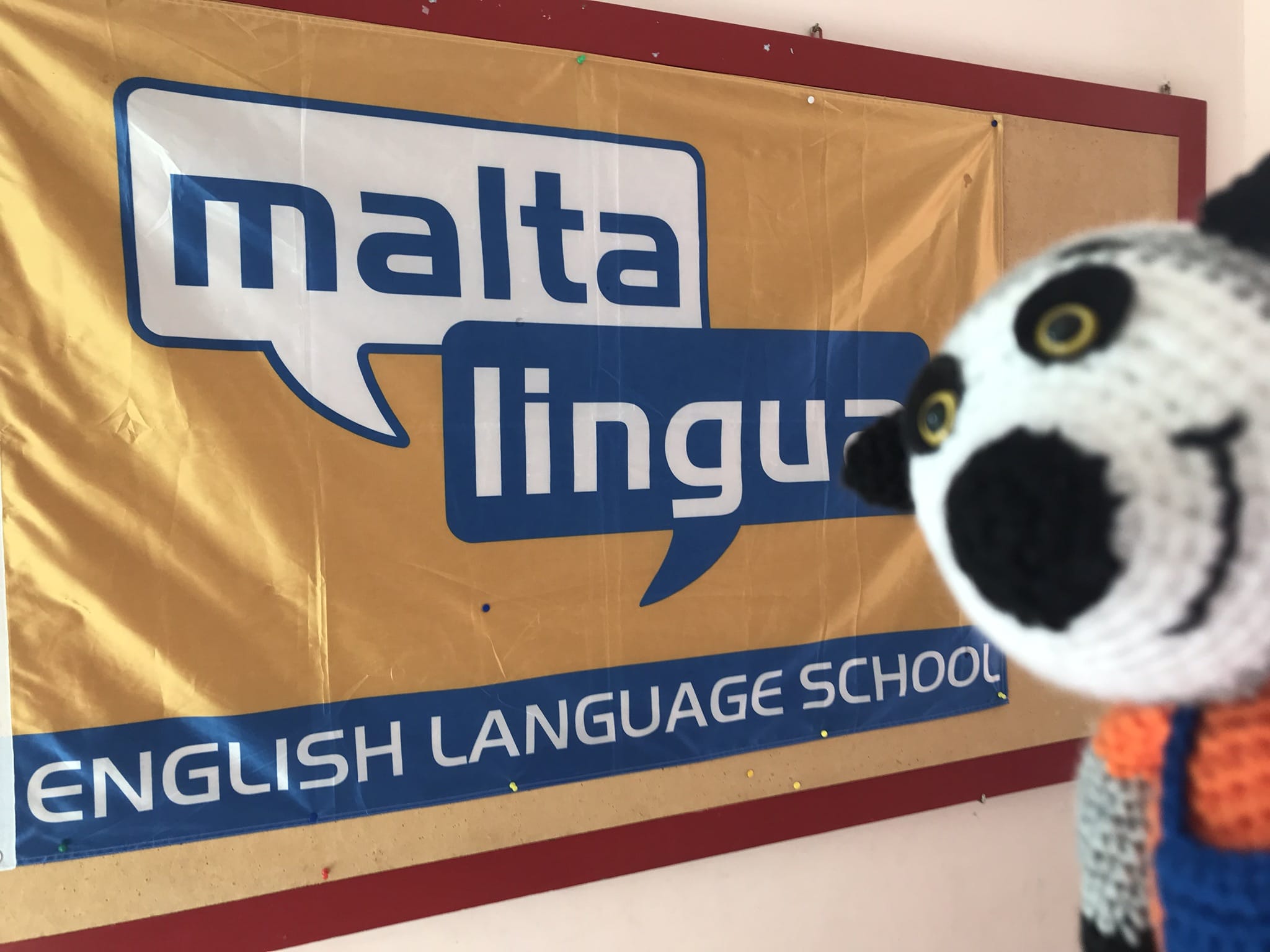 oboz jezykowy Malta